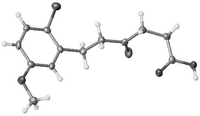 一类具有刚性螺[茚满-1,2′-吡咯烷]骨架的有机催化剂、配体及合成与应用的制作方法