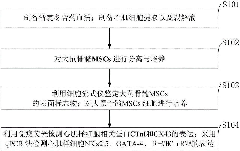 对骨髓间充质干细胞分化心肌样细胞诱导药物及检测方法与流程