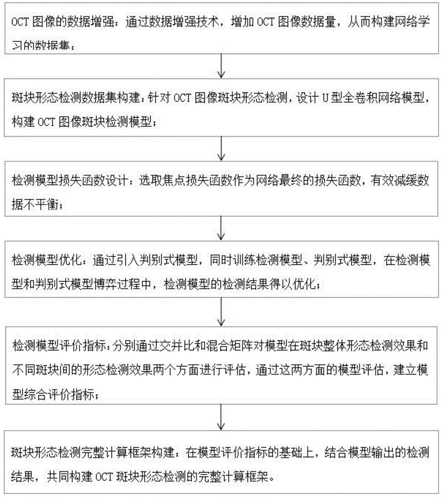 一种面向光学相干断层图像斑块形态检测方法与流程