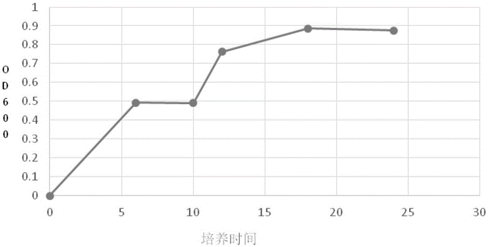 锌吸附菌株的应用及锌吸附菌株的培养方法与流程