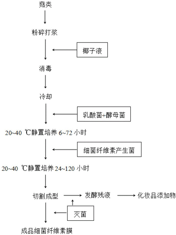 一种一步法生产含菇类发酵提取物的全发酵细菌纤维素膜的方法与流程