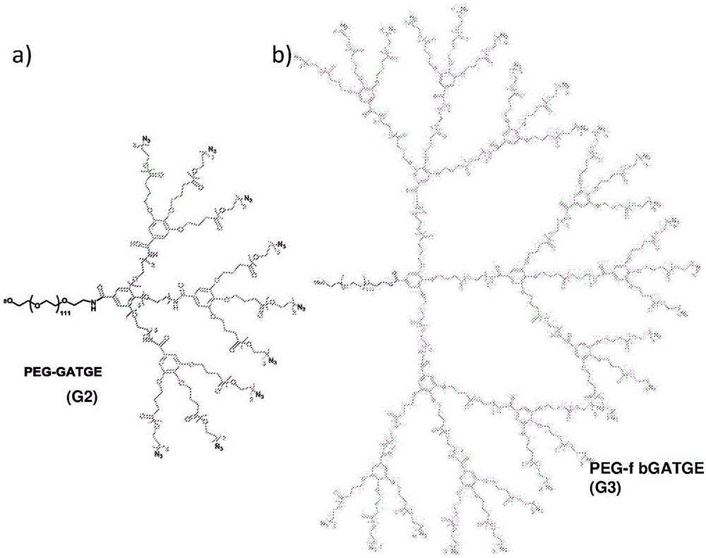 生物可降解的树枝状结构、方法及其用途与流程