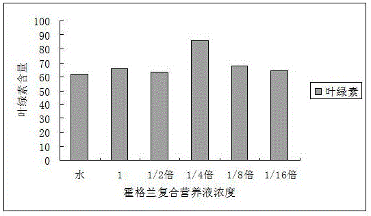 一种使水培植物持续释放负离子的营养液的制作方法