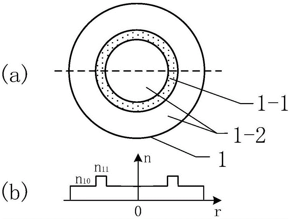 环形芯光纤SPR传感器的制作方法