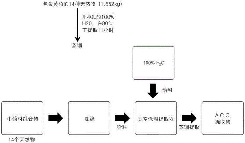 具有抗炎症及抗菌效果的A.C.C.提取物及包含其作为有效成分的组合物的制作方法