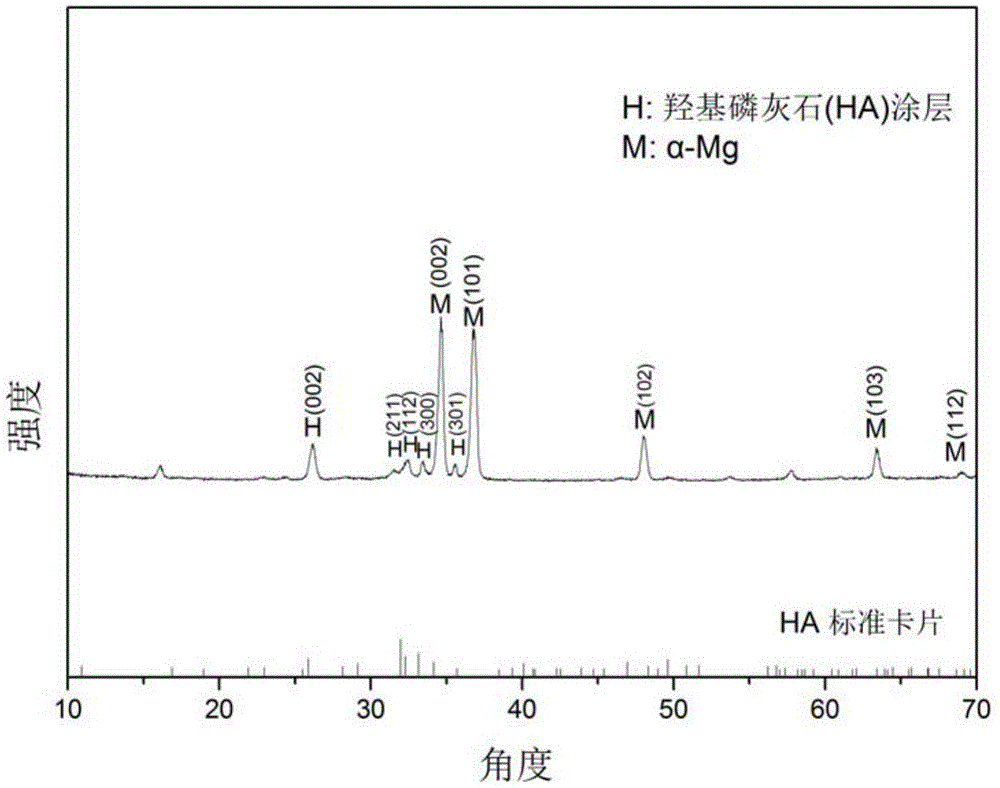 基于超声的镁合金表面纳米羟基磷灰石涂层及制备方法与流程