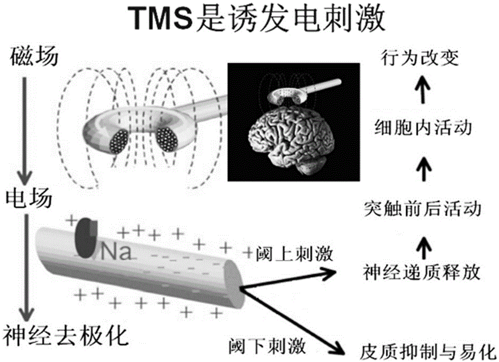 一种刺激波形多级可调的磁刺激仪的制作方法