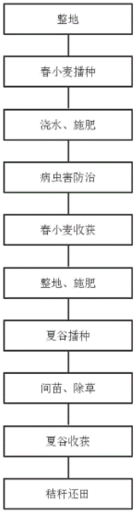 一种春小麦夏谷两熟栽培方法与流程