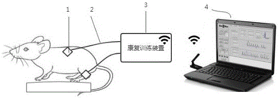 可编程小动物运动功能康复训练与评估实验装置及其使用方法与流程