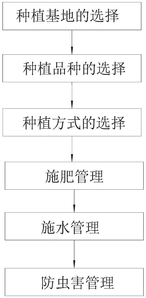 一种绿色生态蔬菜的种植方法与流程