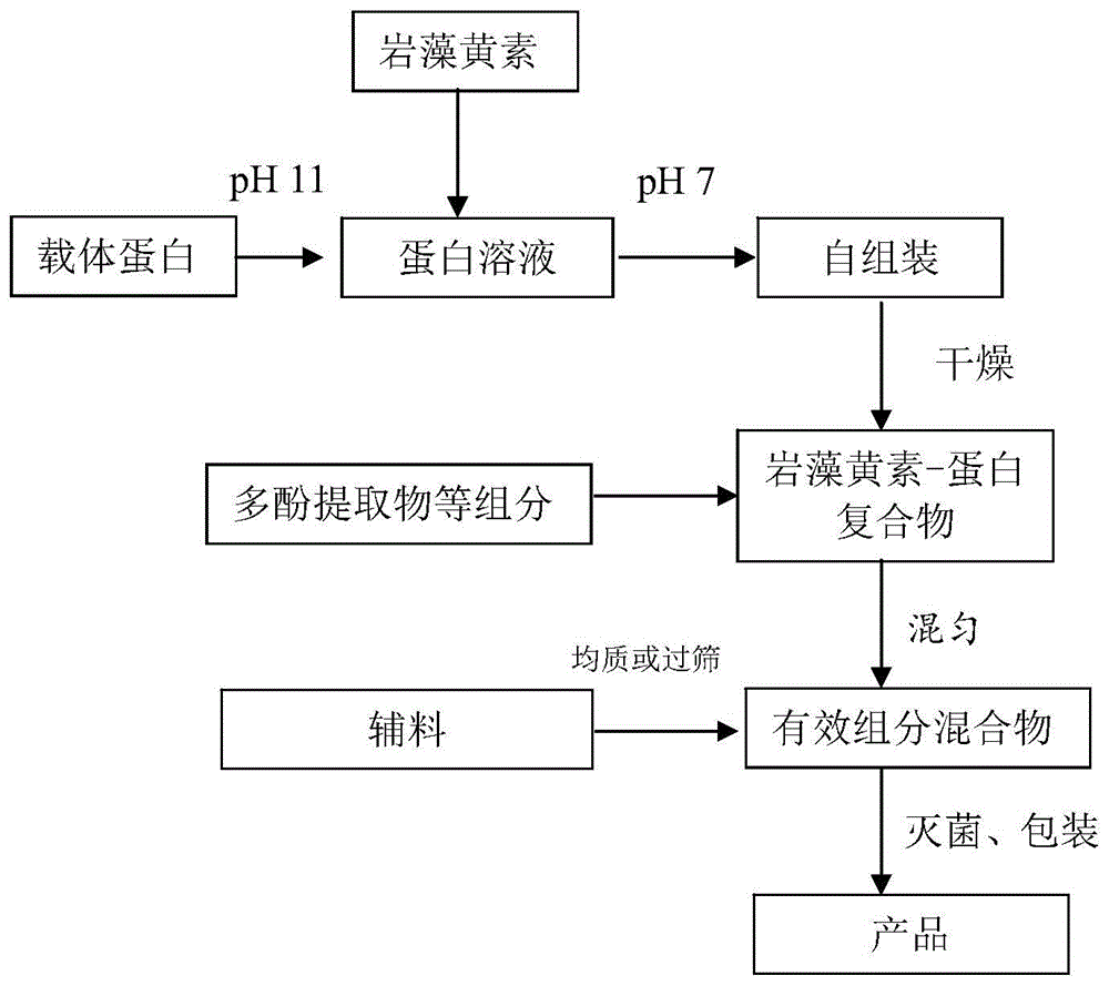 一种提高视器官抗氧化能力的功能食品及其制备方法与流程