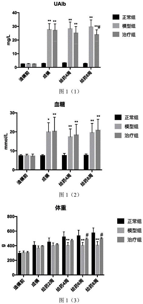 一种治疗糖尿病肾病的中药组合物及其制备方法与应用与流程