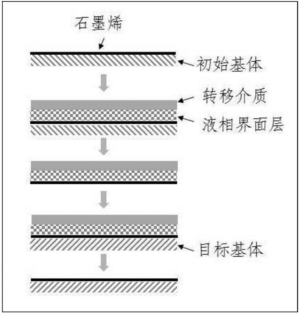 采用液相界面层洁净无损转移大面积二维材料的方法与流程