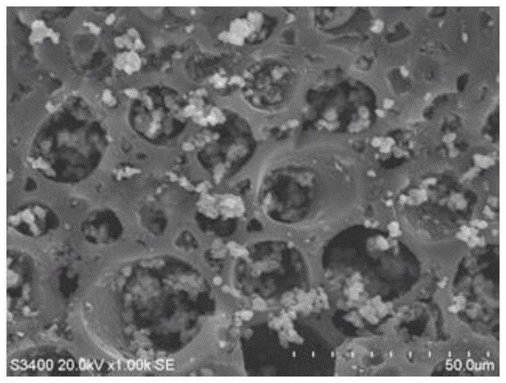 一种颗粒电极及其制备方法和三维电解反应器及其应用与流程