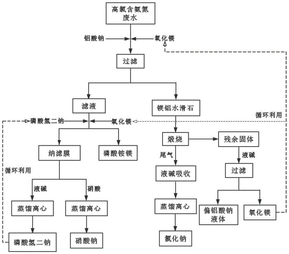 一种硝酸型高氯含氨氮废水的处理方法与流程