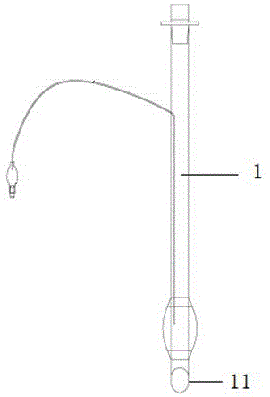 组合型侧方限制式气管和支气管导管的制作方法