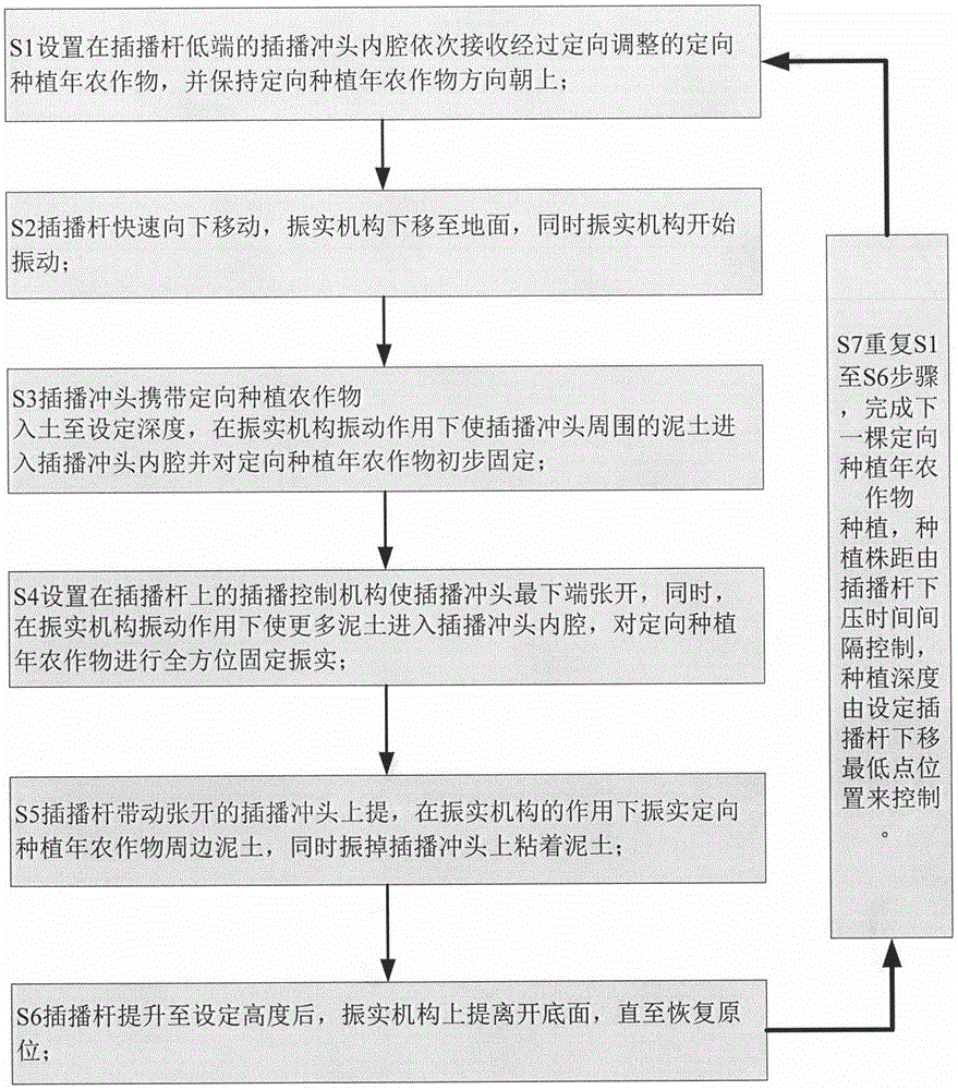 一种定向插播方法和装置与流程