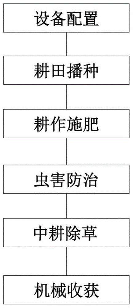 一种茎叶类蔬菜全程机械化栽培方法与流程