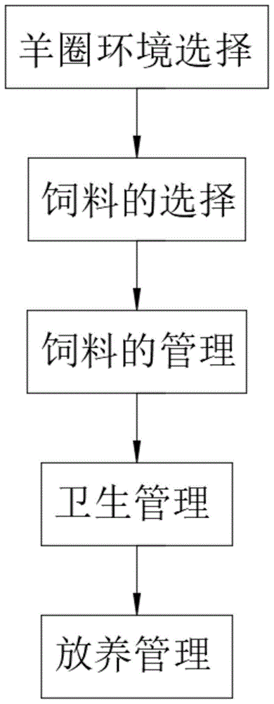 一种枸杞羊的养殖方法与流程