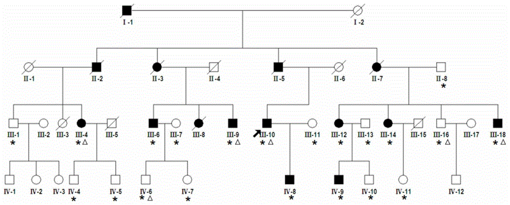 HPR1基因突变体及其在制备耳聋诊断试剂中的应用的制作方法