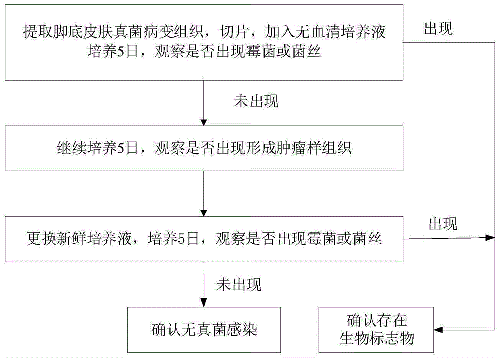 检测慢性关节炎病的生物标志物、应用及检测方法与流程