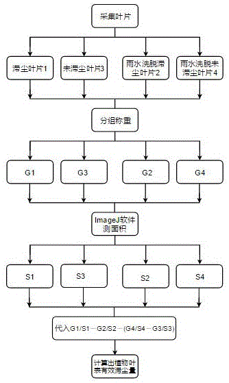 一种测定植物叶片叶表有效滞尘量的方法与流程