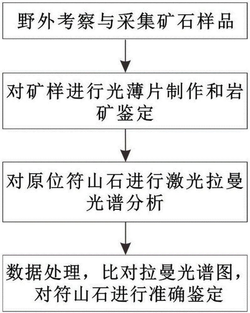 一种符山石的显微鉴定方法与流程