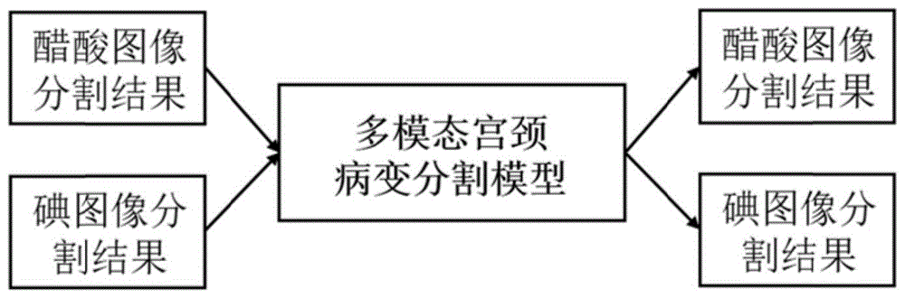 一种基于多模态分割网络的宫颈病变区域分割方法和装置与流程