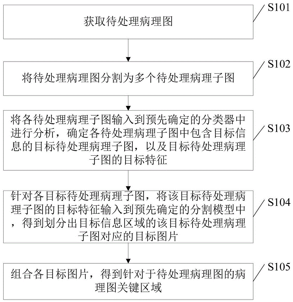 病理图关键区域确定方法、装置、电子设备及存储介质与流程