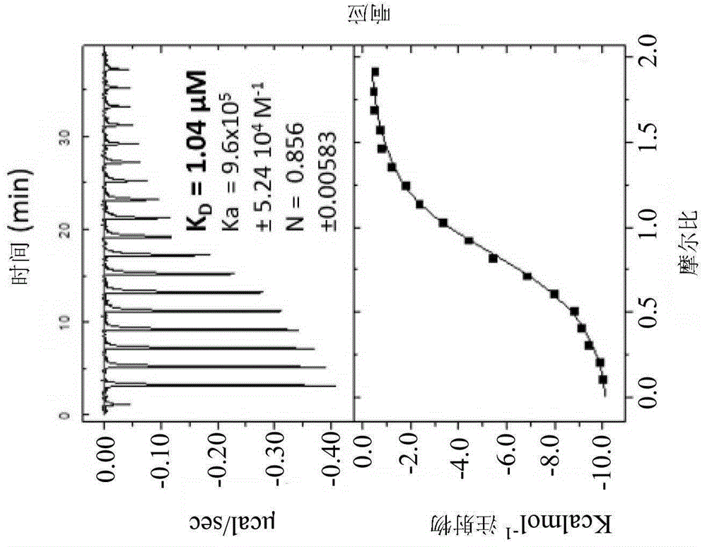 治疗性SALL4肽的制作方法