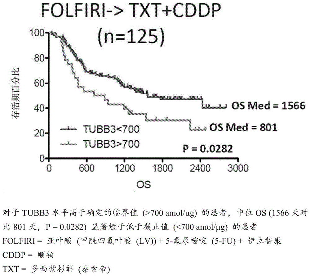 用于微管蛋白β-3链(TUBB3)蛋白的SRM/MRM测定的制作方法