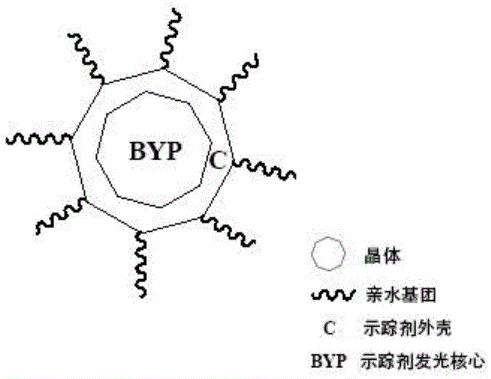“BYP示踪剂”的合成方法和应用方法与流程