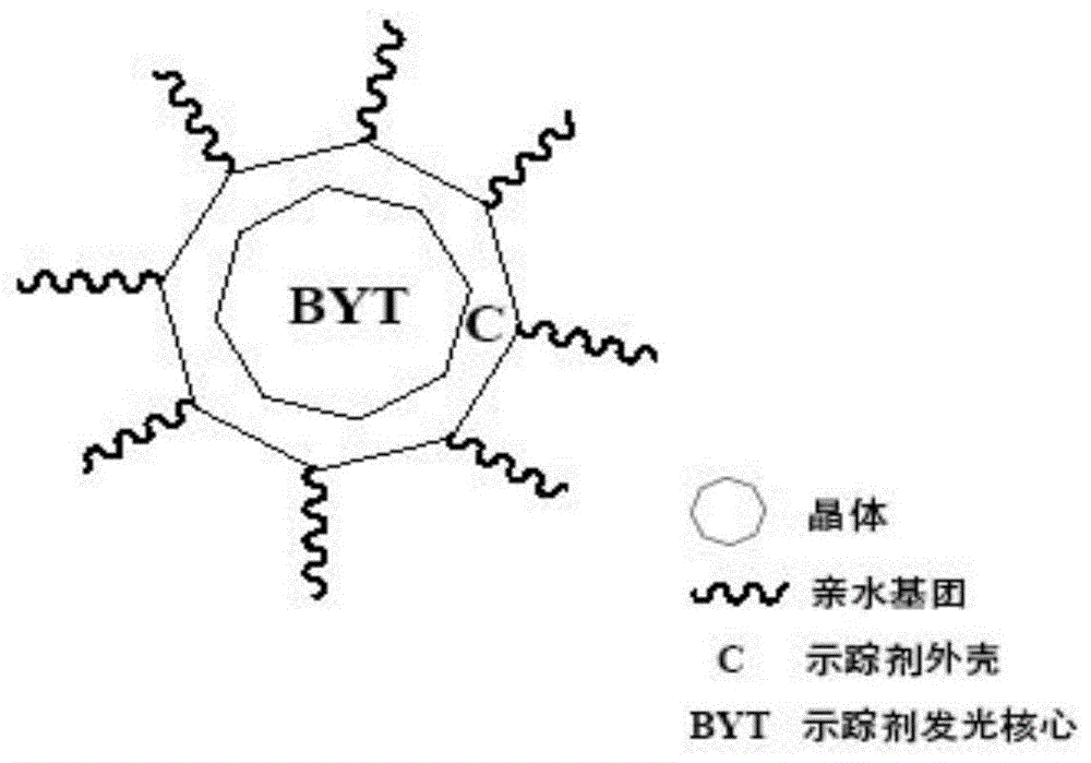 “BYT示踪剂”的合成方法及其应用与流程