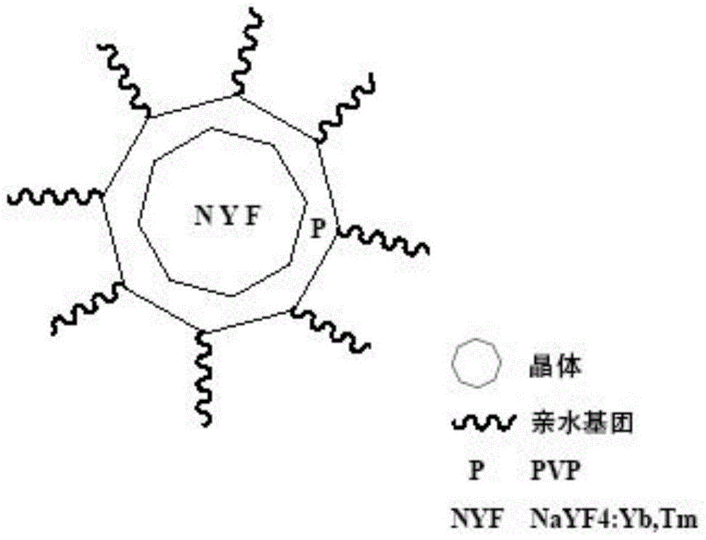 “NYFP”示踪剂的合成方法及其应用与流程