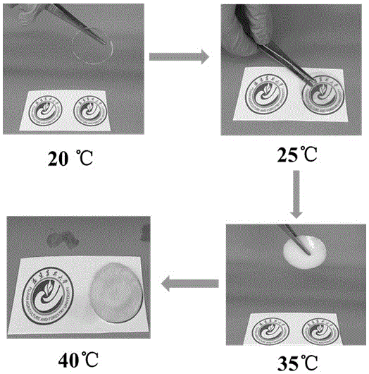 一种纳米纤维素温敏凝胶的制备方法与流程