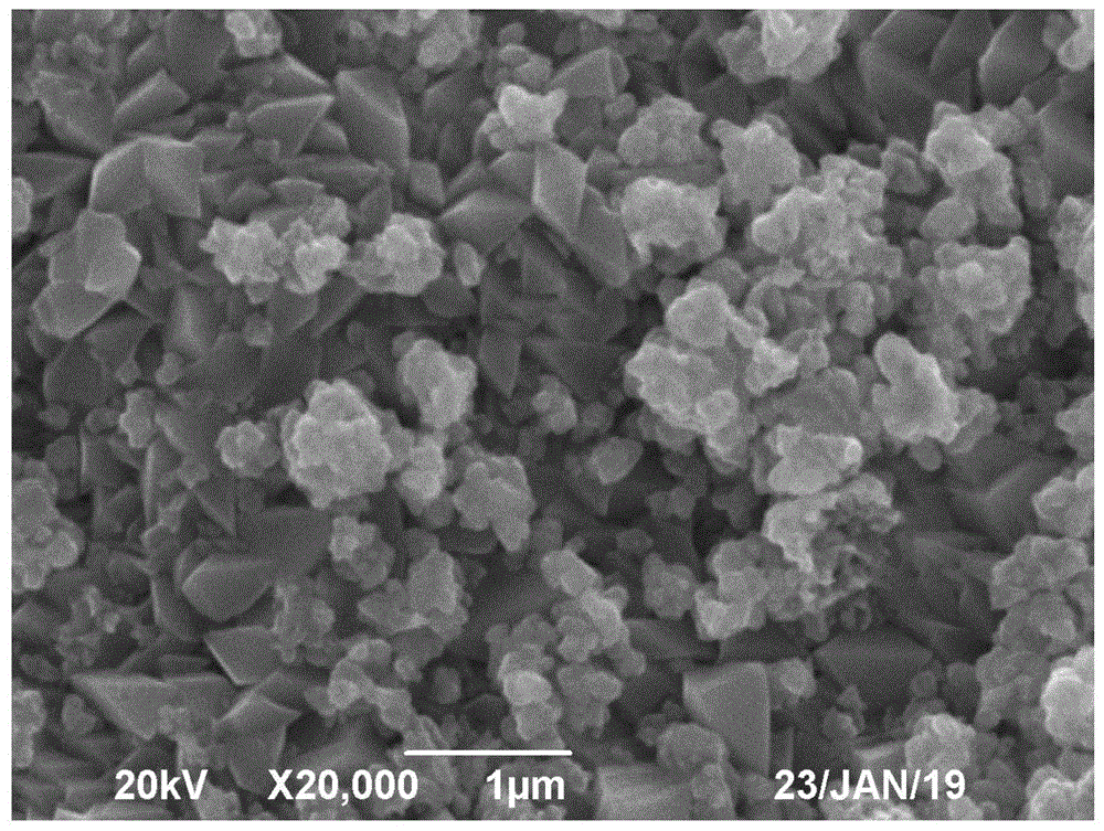 一种石墨相氮化碳修饰掺锑二氧化锡复合光电催化电极、制备方法及应用与流程