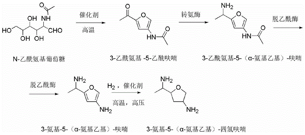 一种利用N-乙酰-D-葡萄糖制备3-氨基-5-（α-氨基乙基）四氢呋喃的方法与流程