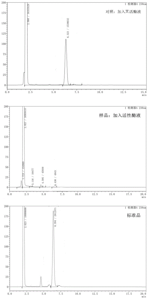 棉酚降解酶HIGD及其编码基因和应用的制作方法