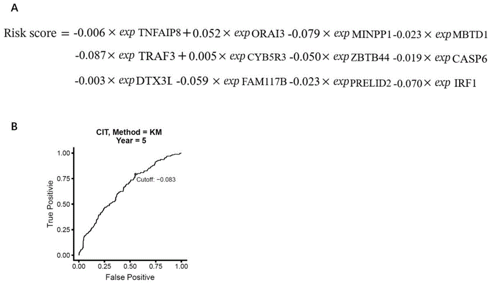 缺氧相关基因在结直肠癌预测系统中的应用的制作方法