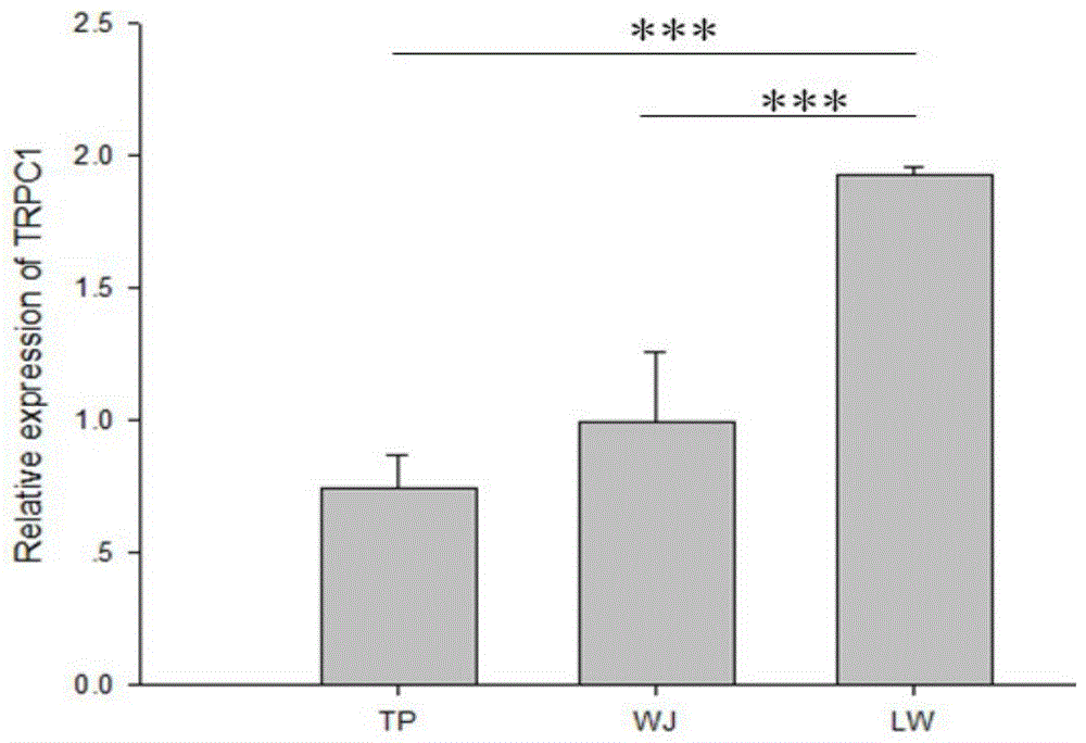 一种与猪生长速度相关的SNP分子标记及其应用的制作方法