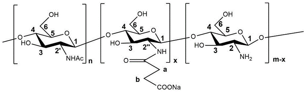 一种N-琥珀酰基壳聚糖C-6选择性氧化衍生物及其制备方法和应用与流程