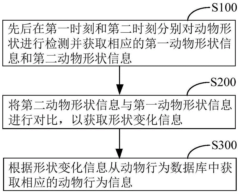 一种动物行为分析方法及系统与流程