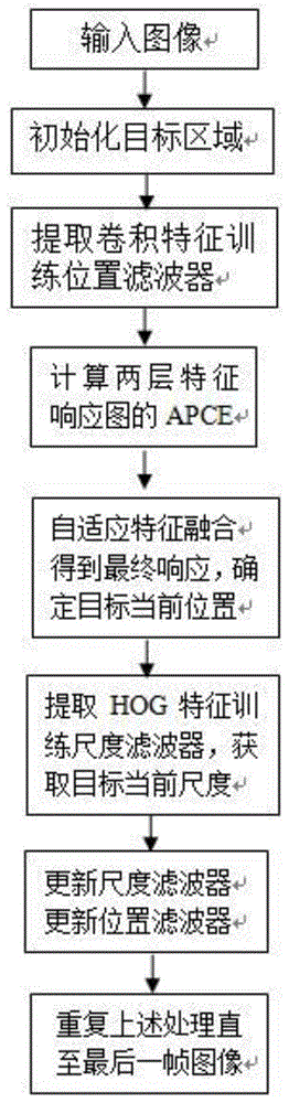 一种多层卷积特征自适应融合的运动目标跟踪方法与流程