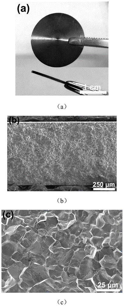 一种铅卤钙钛矿多晶薄片及其制备方法与流程