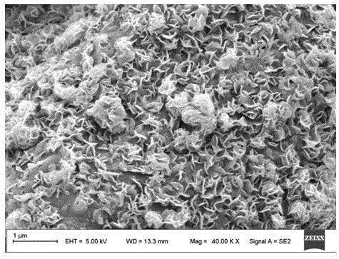 一种二硫化钼/生物质碳复合电极材料的制备方法与流程
