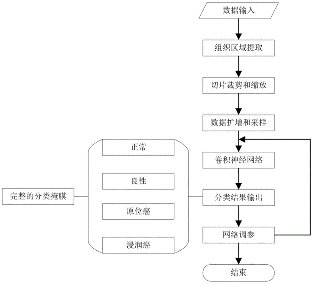 基于深度学习的乳腺癌病理切片中癌症区域的检测方法与流程