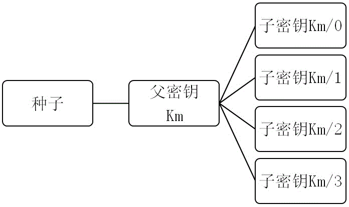 基于区块链和层次化确定性钱包的投票系统及其使用方法与流程