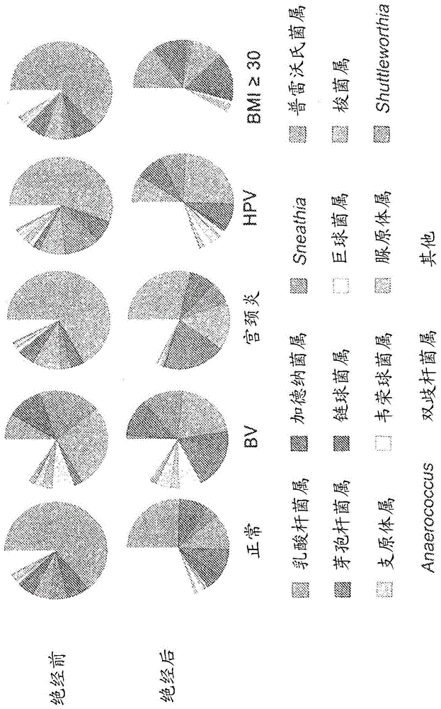 含有阴道内微生物的组合物的制作方法