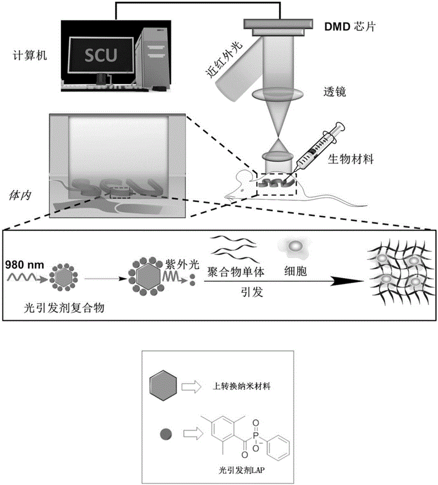 一种生物材料及非侵入近红外激光辅助3D打印方法与流程