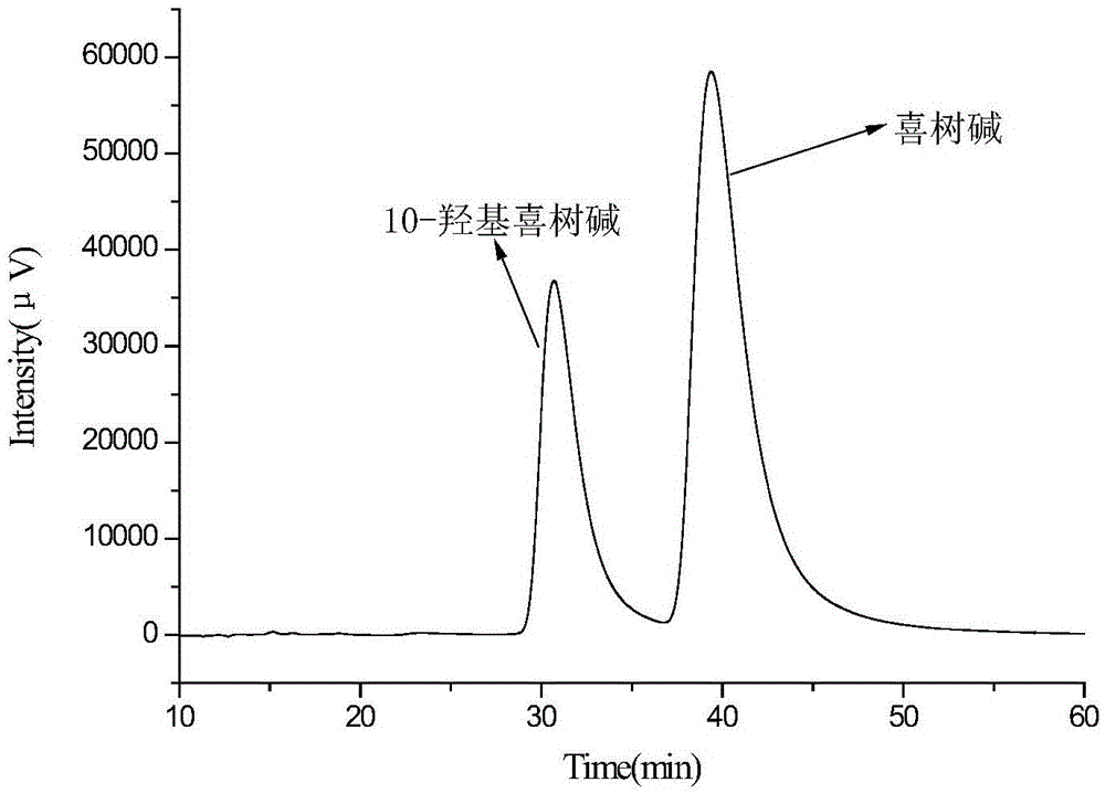 一种应用松香基高分子分离喜树碱与10-羟基喜树碱的方法与流程